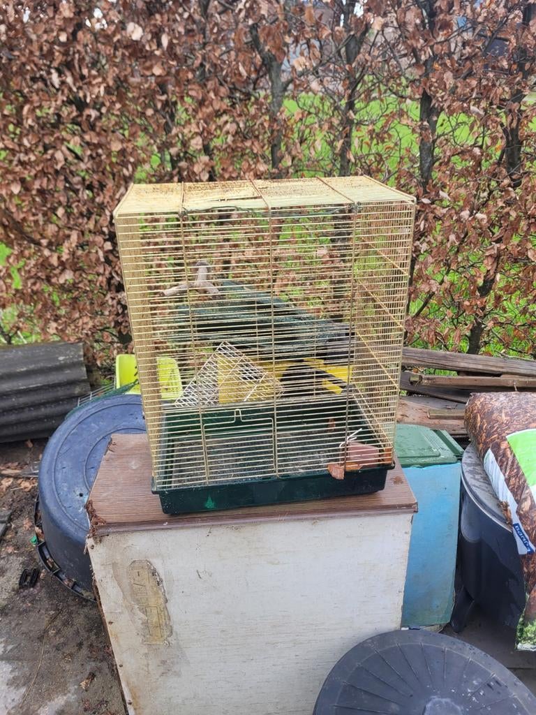 Vogelkooi, Dieren en Toebehoren, Ophalen, Vogelkooi