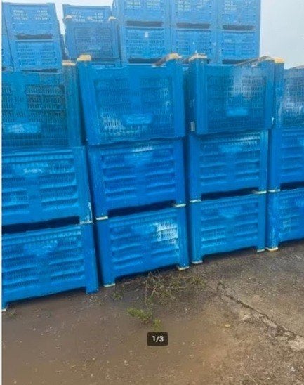 Kratten,bakken geperforeerd v.o.a opslag te koop of te huur, Ophalen
