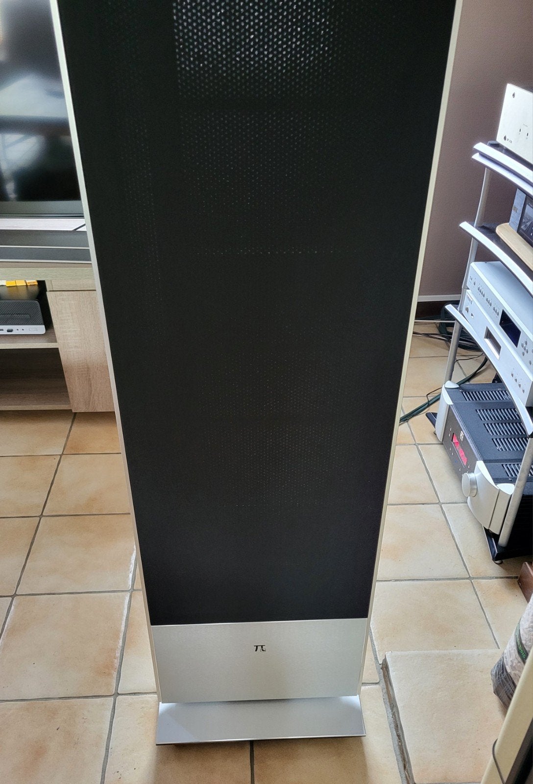Enceintes électrostatiques PioSound Eagle