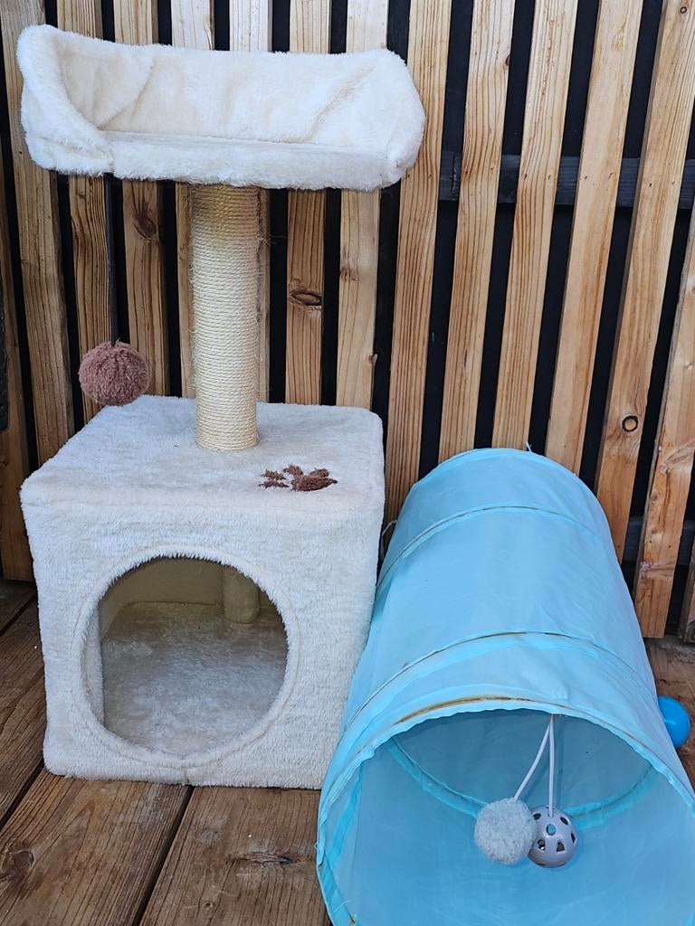 Maison pour chat, Animaux & Accessoires