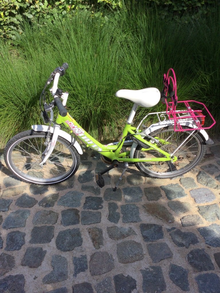 Kinderfiets 20 inch, Ophalen, Gebruikt, Schijfrem, 16 tot 20 inch