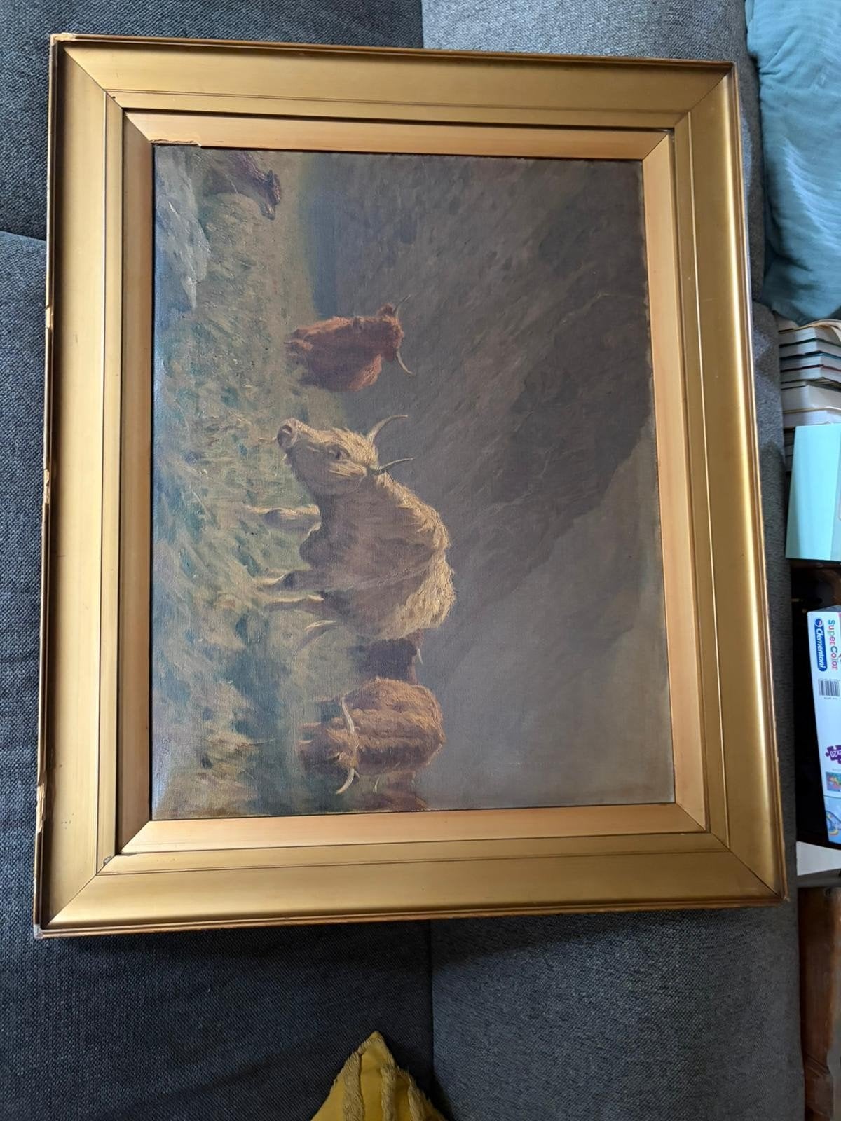 schilderij schotse hooglander, Antiek en Kunst, Ophalen, Dieren