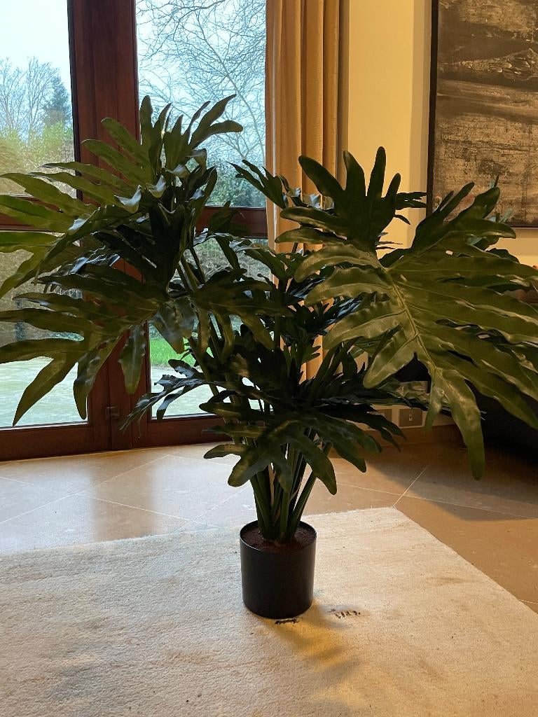 kunstplant Philodendron Xanadu 90 cm nieuw, Ophalen, Nieuw, Kunstplant