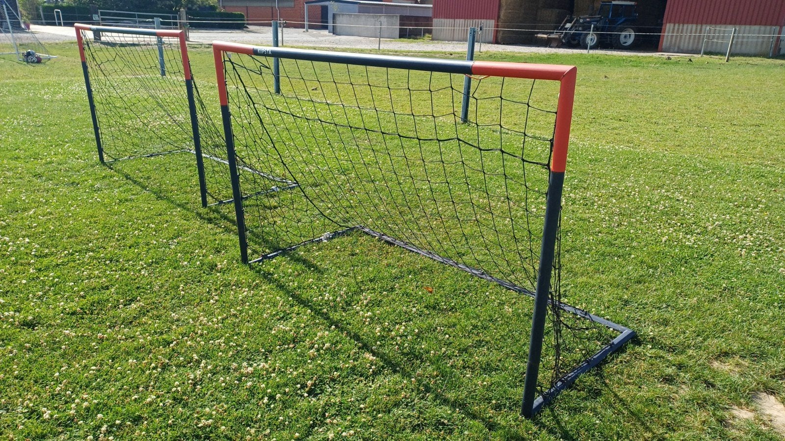 Goals enfant, Enlèvement