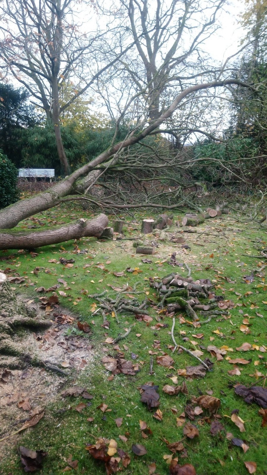 Terrein-/tuinopruiming + onderhoud, Ophalen, Gebruikt