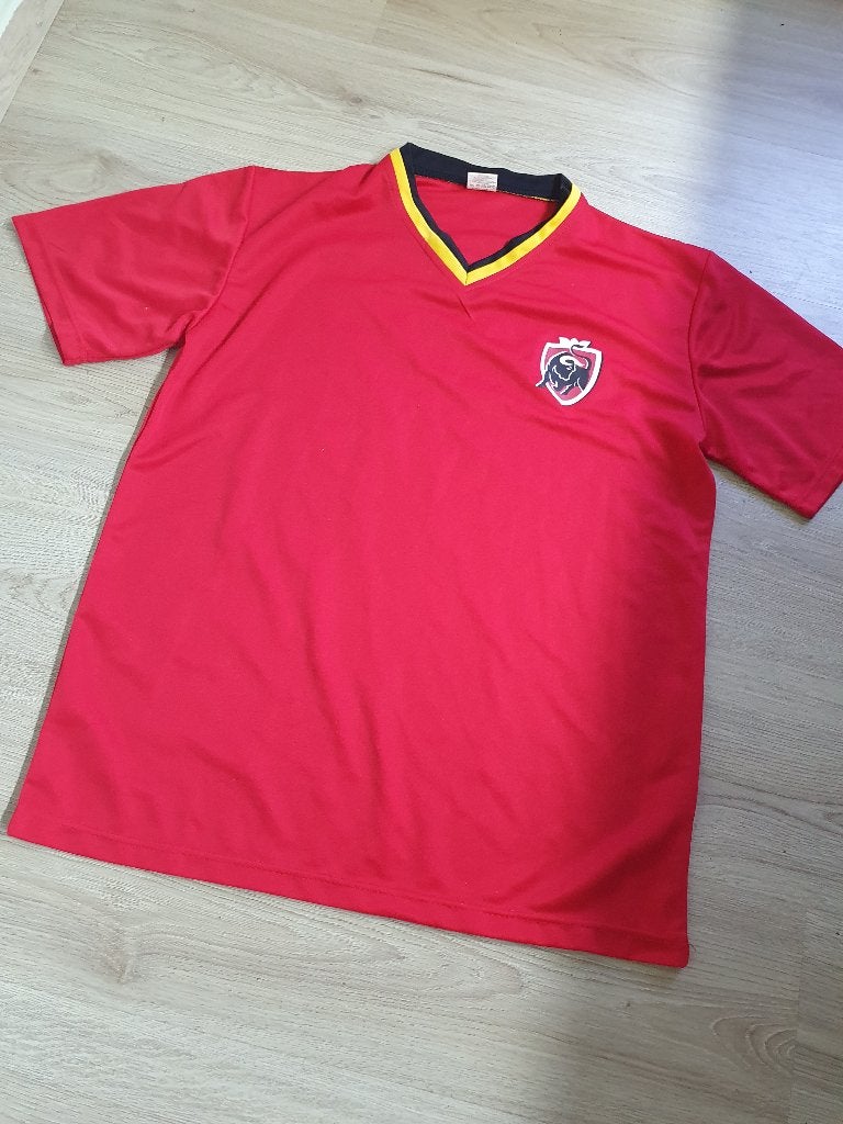Voetbal truitje, Sport en Fitness, Voetbal, Maat XL, Ophalen of Verzenden, Zo goed als nieuw, Shirt
