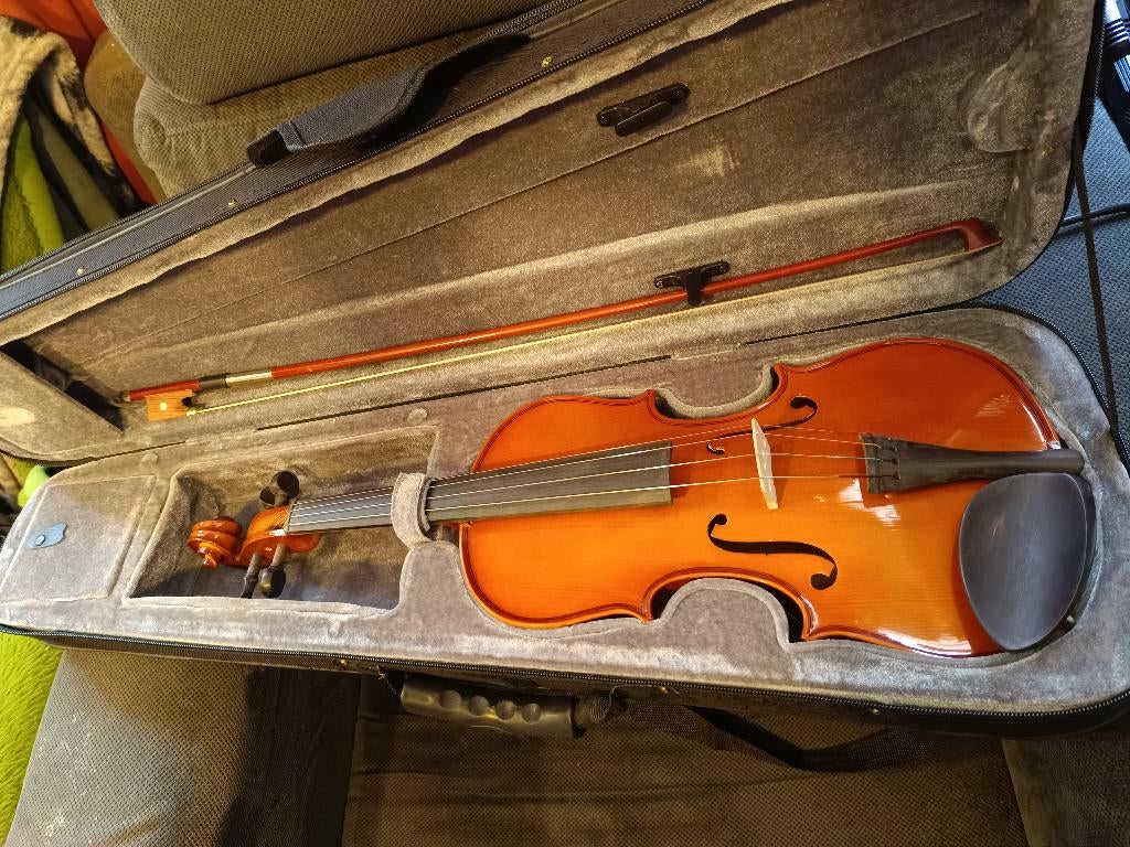 Viool 4/4 met alle snaren en tas te koop., Muziek en Instrumenten, Strijkinstrumenten | Violen en Altviolen, Viool, Ophalen of Verzenden