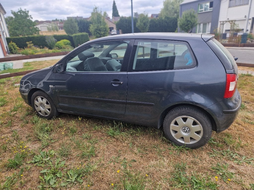 Polo, Achat, Entreprise, 5 places, 3 portes