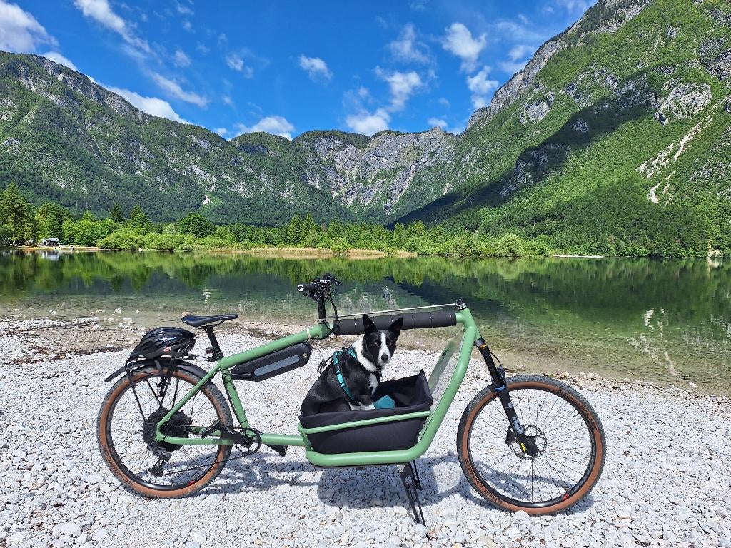 GINKGO CARGO FAIT MAIN, Enlèvement, Comme neuf, Autres marques, Électrique
