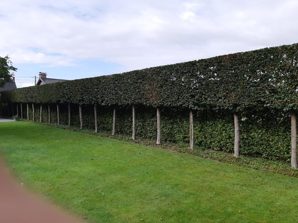 Tuinonderhoud, Ophalen
