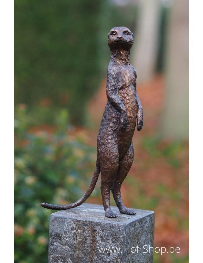 Stokstaartje - bronzen beeld (BS1332B), Ophalen of Verzenden, Brons