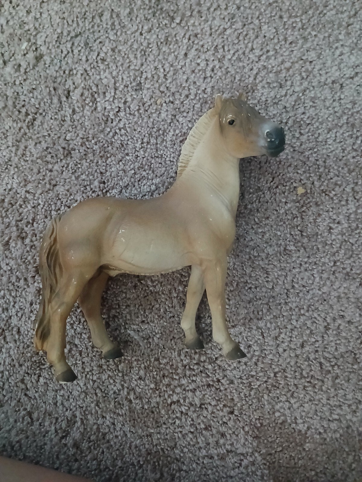 Collecta Fjord hengst uit 2013, Enlèvement