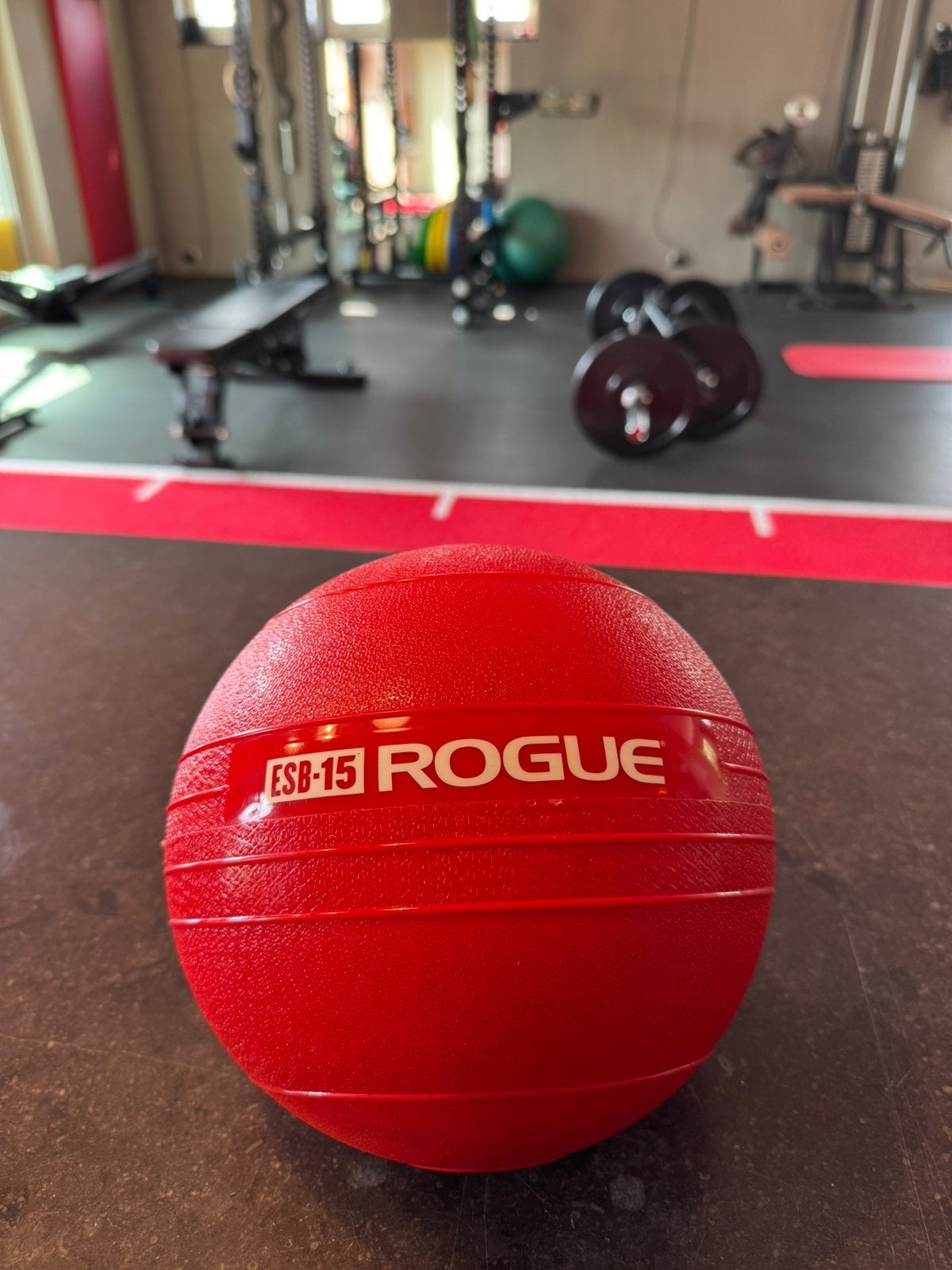 ROGUE ECHO SLAM BALL 15 LB, Sports & Fitness, Équipement de fitness, Enlèvement ou Envoi, Neuf, Médecine balle