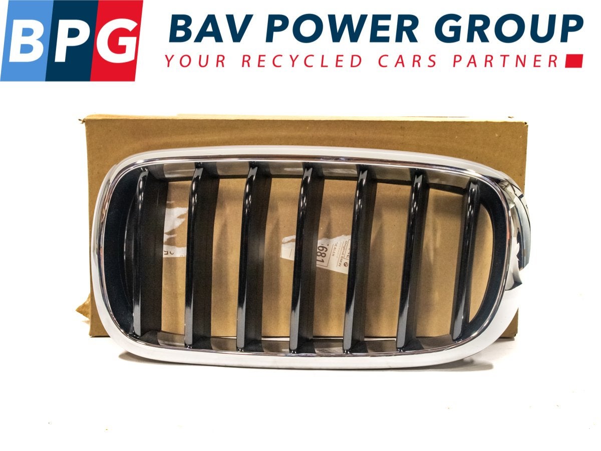 GRILLE LINKS ROOSTER NIEREN BMW X6 (F16) (01-2014/12-2019), Gebruikt, BMW, Petuelring 130
80809  München, DE, Bayerische Motoren Werke AG