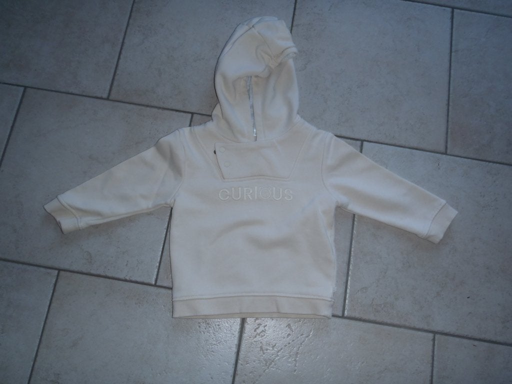 hoodie maat 80, Kinderen en Baby's, Ophalen of Verzenden, Zo goed als nieuw, Jongetje, Truitje of Vestje