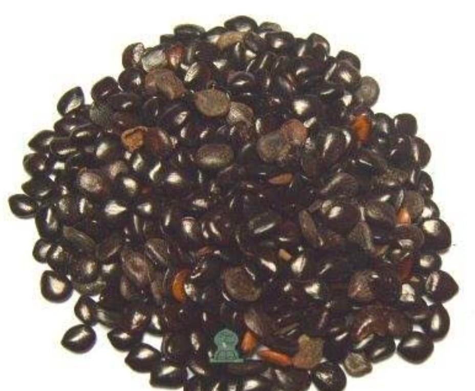 Nigela sativa originele pure zaadjes. Of al klaargemaakt, Enlèvement ou Envoi