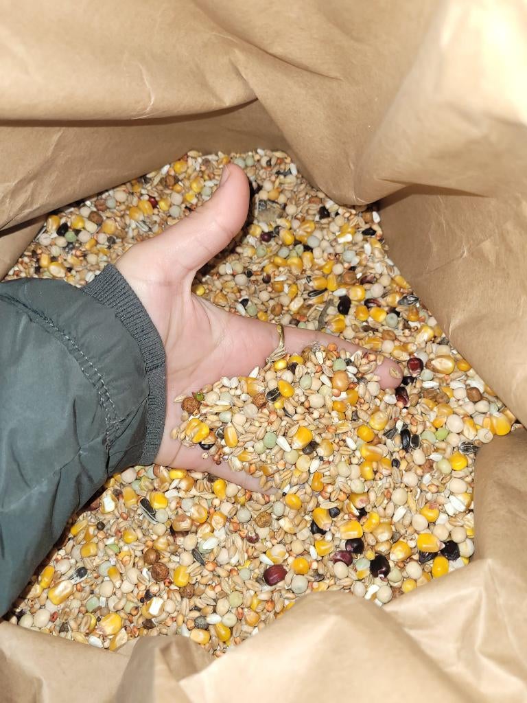 Duivenvoeders aan fabrieksprijzen!, Dieren en Toebehoren, Overige Dieren, Vrouwelijk, Oktober