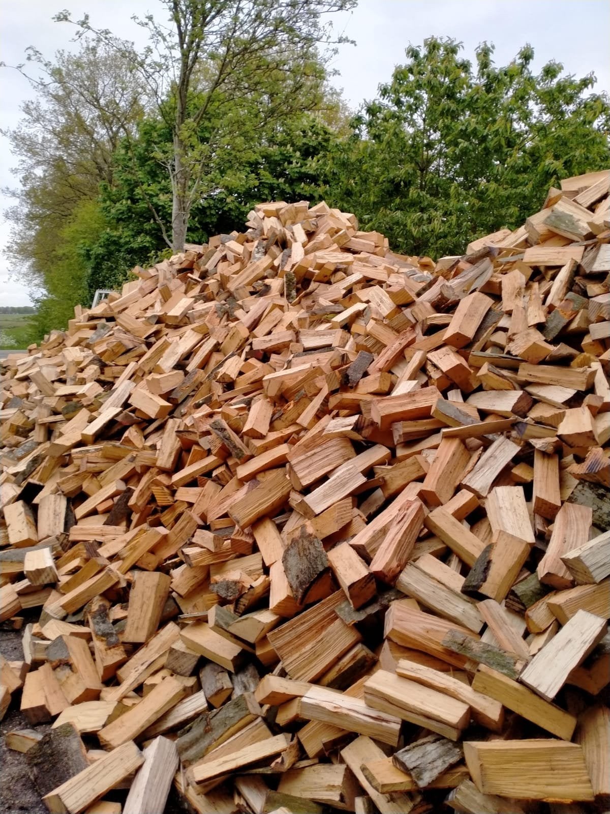 Eiken haardhout DROOG!!, Enlèvement ou Envoi, Chêne