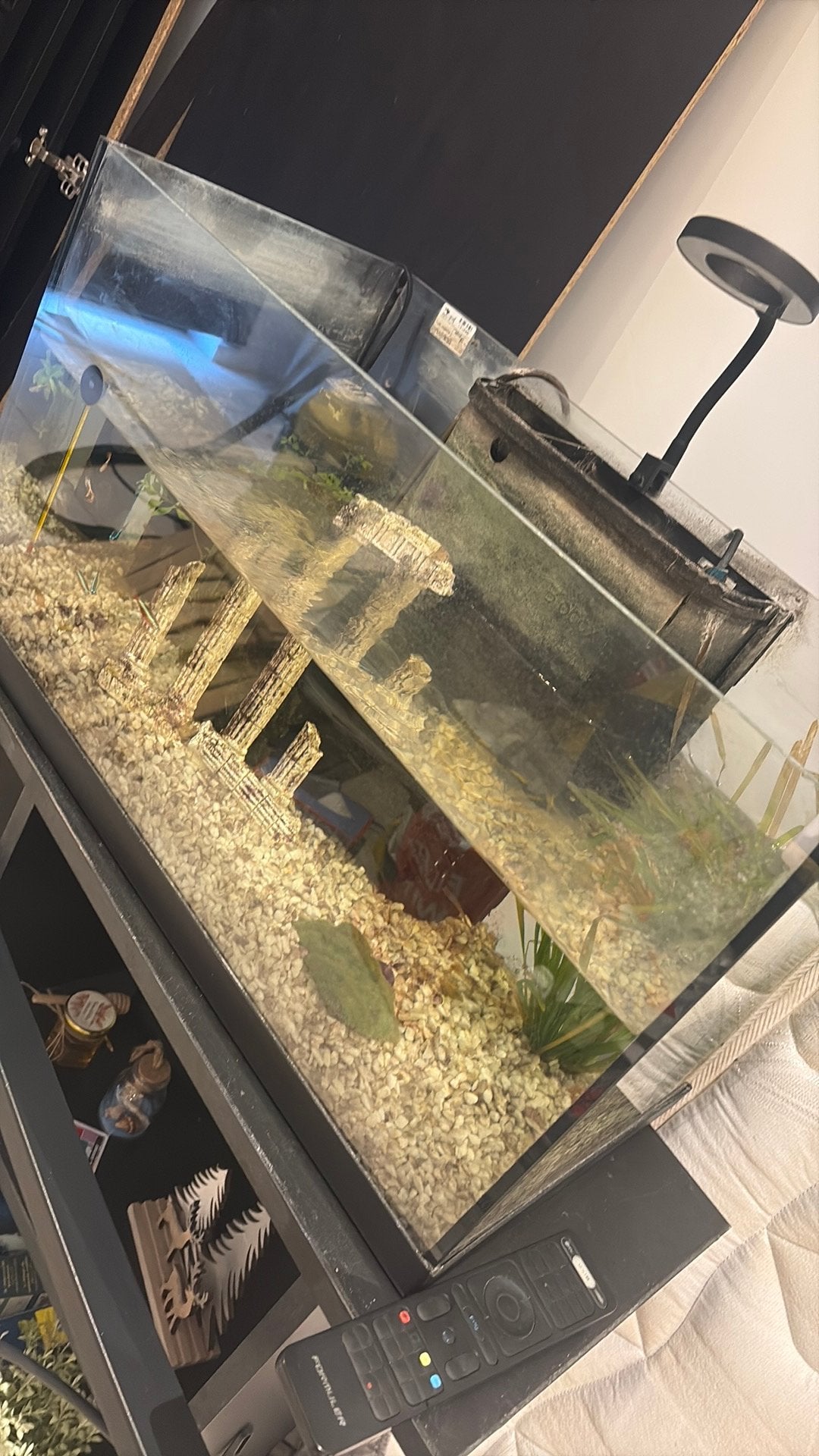 Aquarium à donner, Ophalen of Verzenden, Zo goed als nieuw