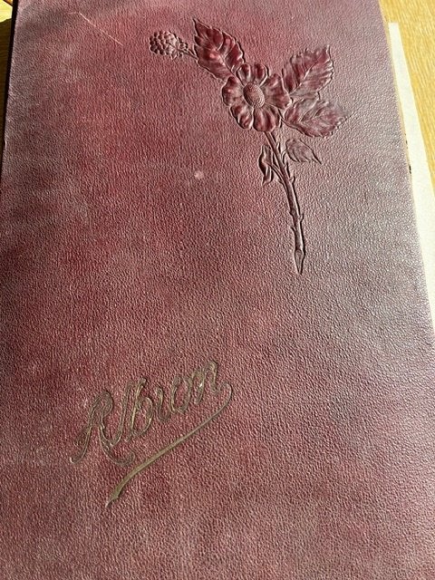 ALBUM en cuir Art Nouveau cartes postales & photos anciennes, Collections, Enlèvement ou Envoi