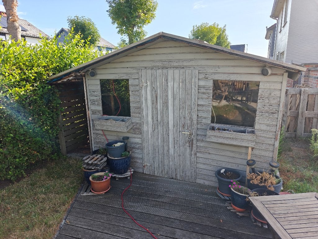 Abri de jardin en bois imprégné, 200 à 400 cm, 250 à 300 cm, 2 fenêtres, Enlèvement