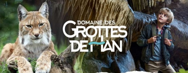 4 Abonnements annuel Grottes Han 03/01 -80 EUR, Tickets & Billets