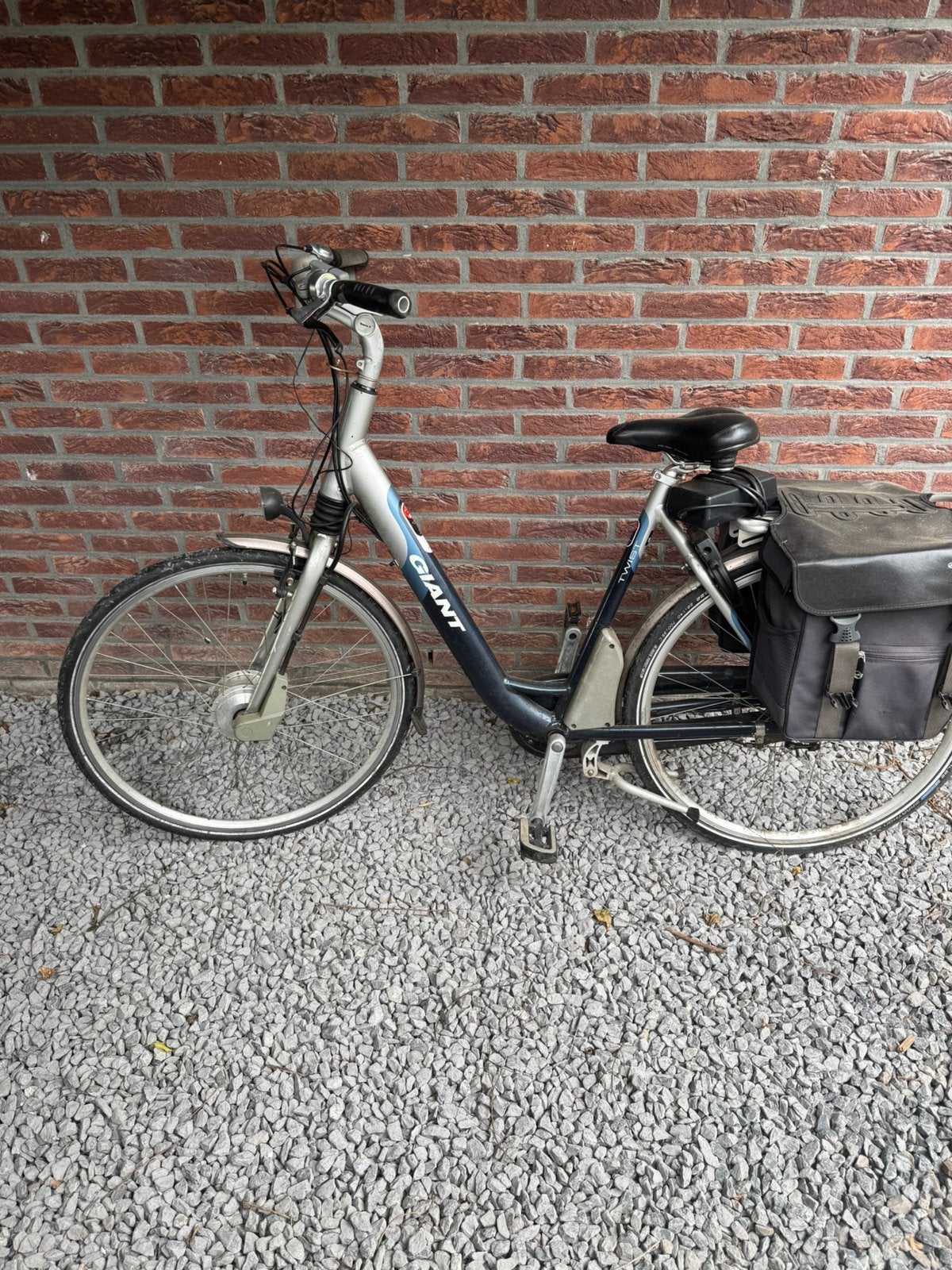 Giant elektrische fiets, Fietsen en Brommers, Ophalen, Gebruikt, Giant