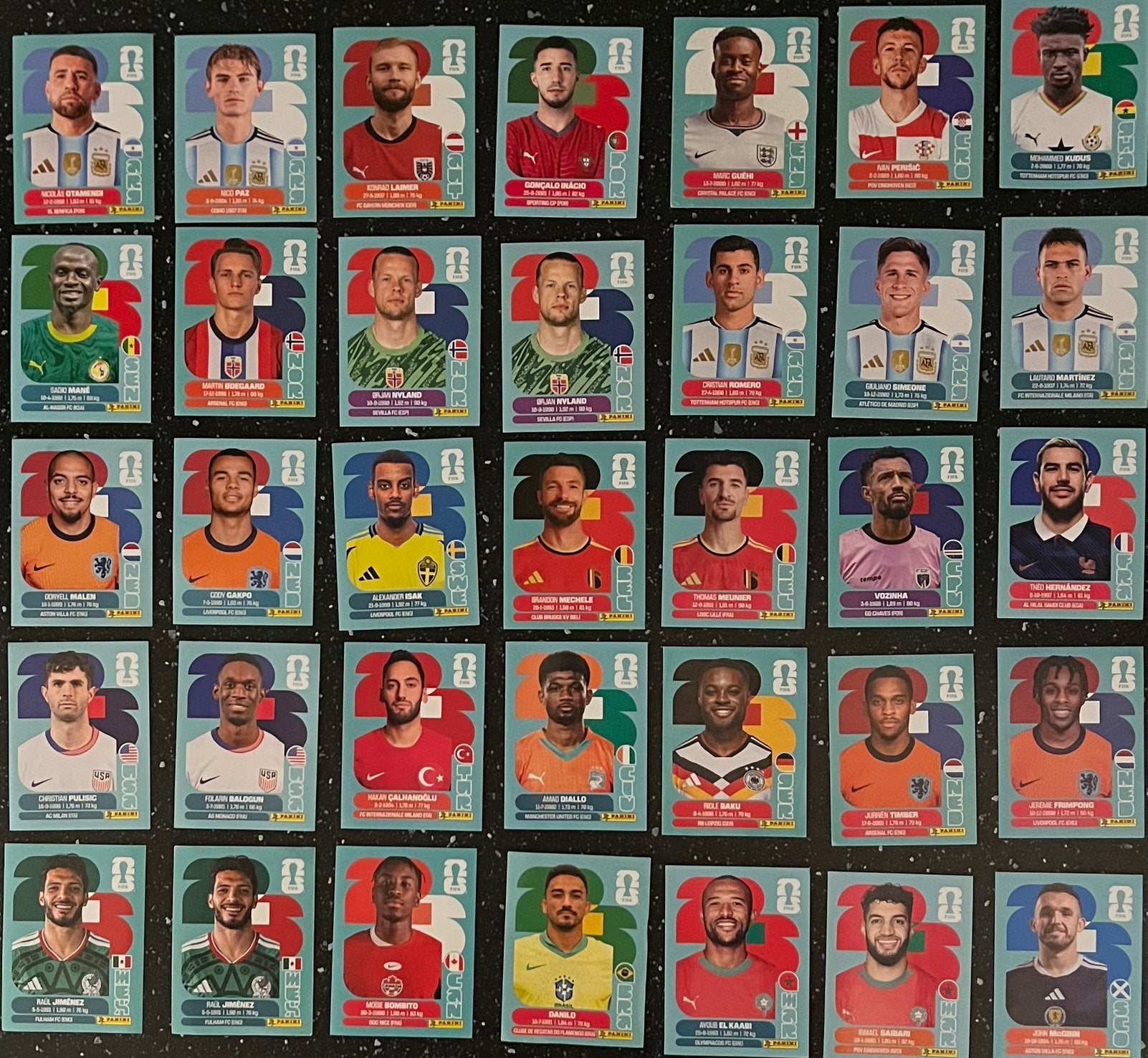 Panini-stickers voor het WK, Ophalen, Zo goed als nieuw, Overige typen