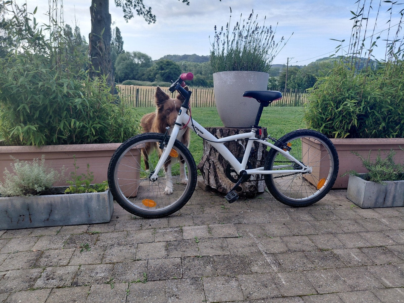 Vélo enfant fille deja vendue, Vélos & Vélomoteurs, Vélos | Vélos pour enfant, Frein sur jante, Stabilisateurs, Utilisé, 20 pouces ou plus