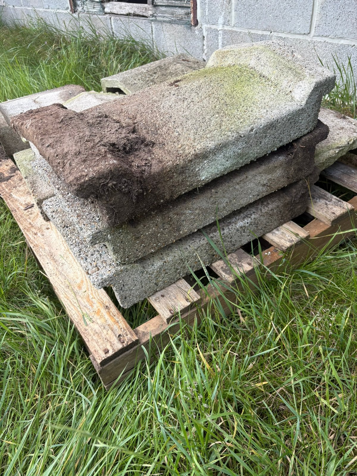 Dakrandsteen, Gebruikt, Overige typen, Ophalen of Verzenden, Minder dan 25 cm