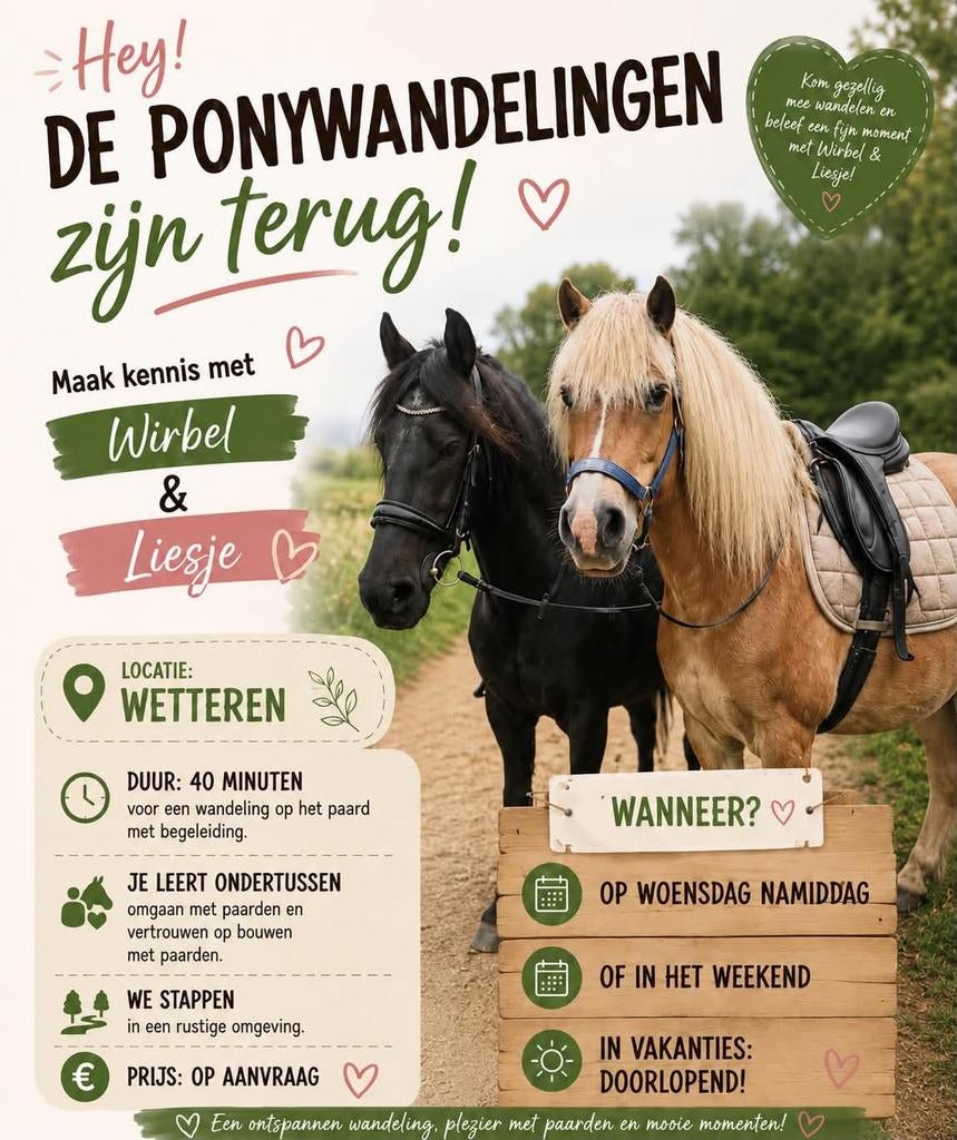 Paardenwandelingen