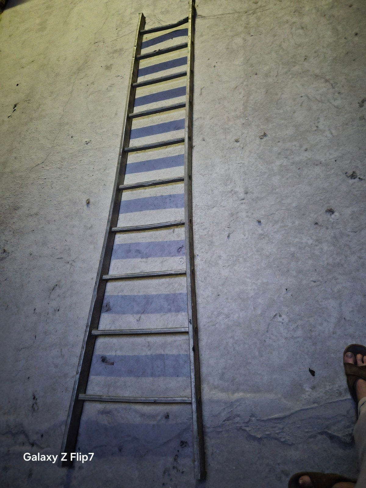 Aluminium ladder 2,50m te koop, Doe-het-zelf en Bouw, Ladders en Trappen, Ophalen, Ladder