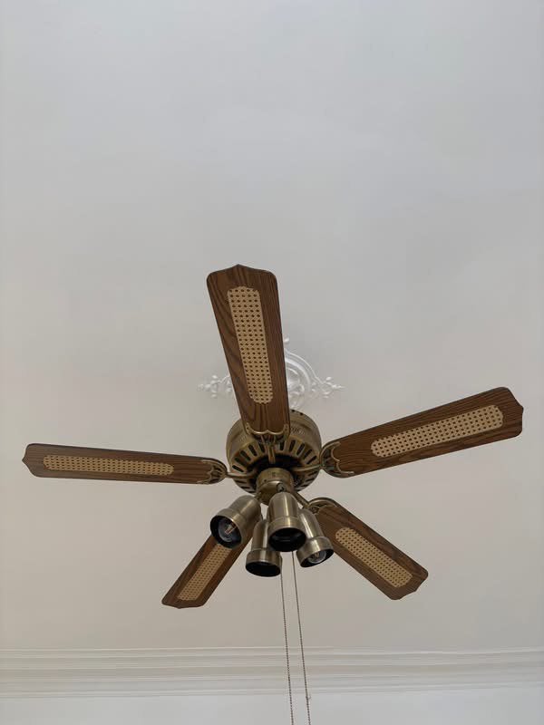 Antieken luster met rotan ventilatoren, Huis en Inrichting, Lampen | Kroonluchters, Ophalen, Gebruikt, Glas