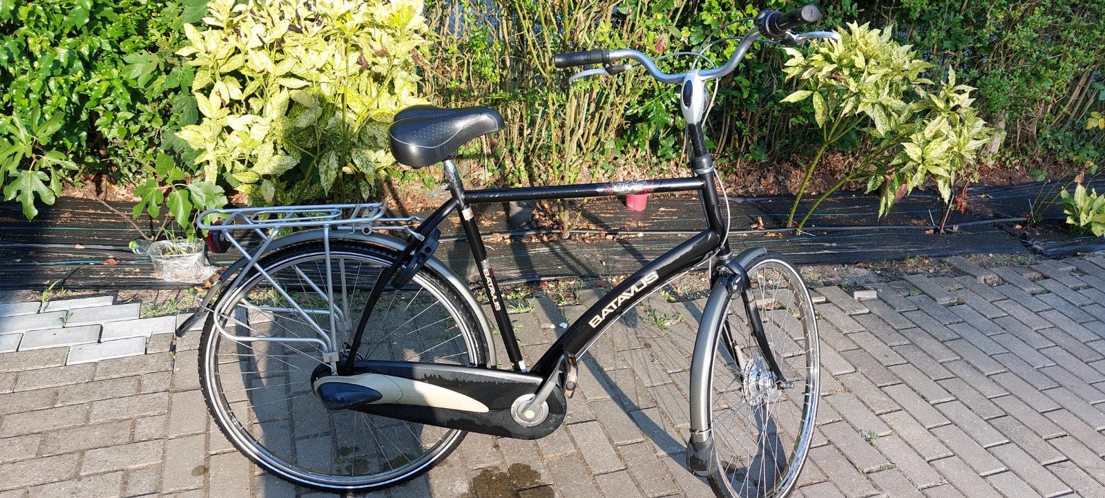 Batavus voor groote mensen, Enlèvement, Vitesses