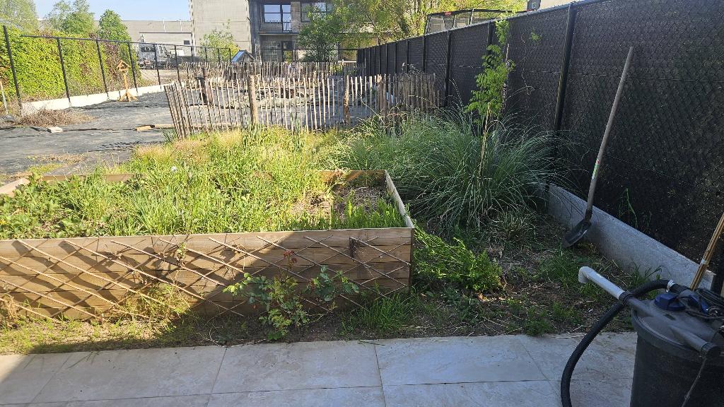 siergrassen, Tuin en Terras, Ophalen, Siergrassen