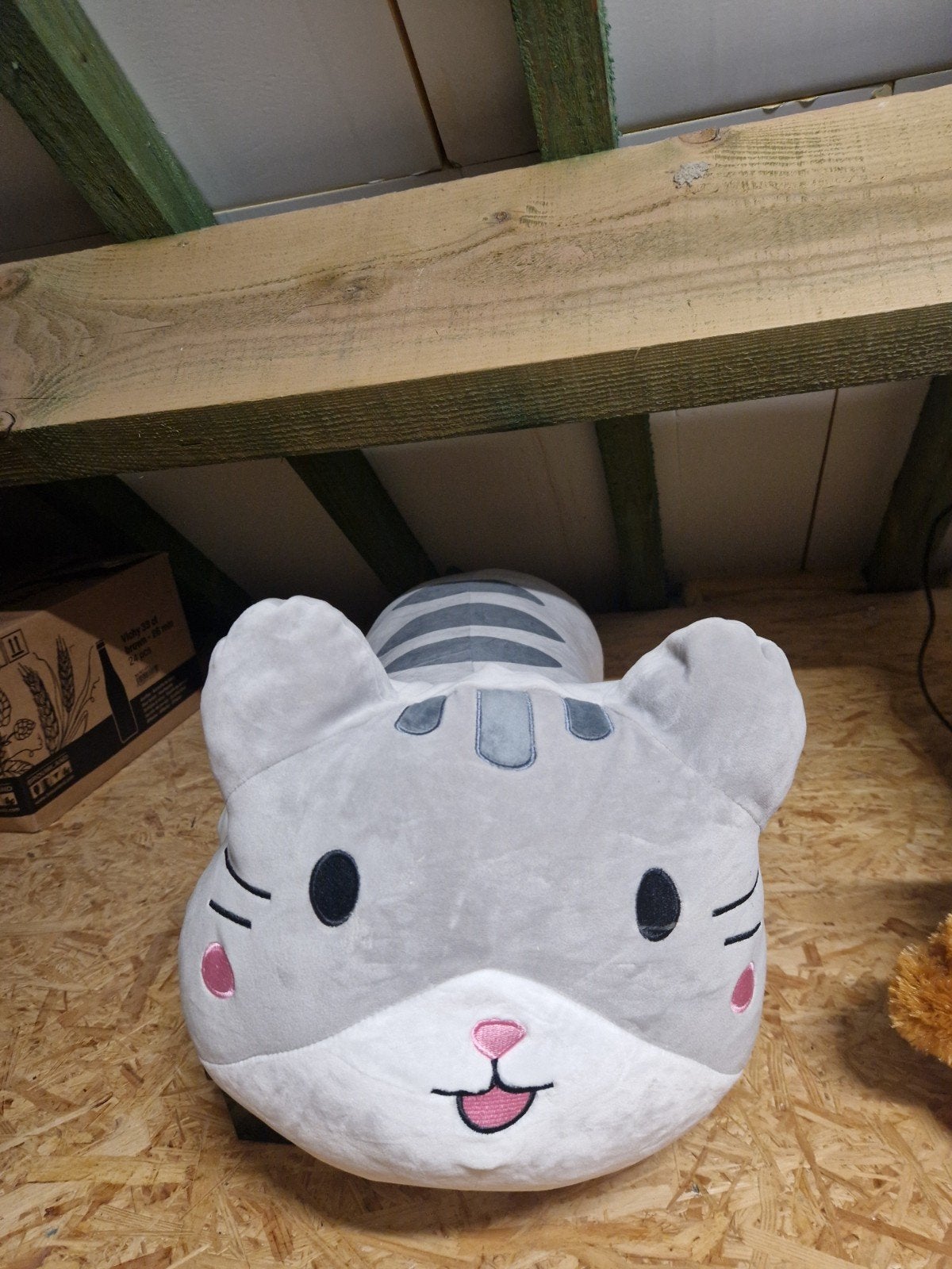 Pluche knuffel kat, Ophalen