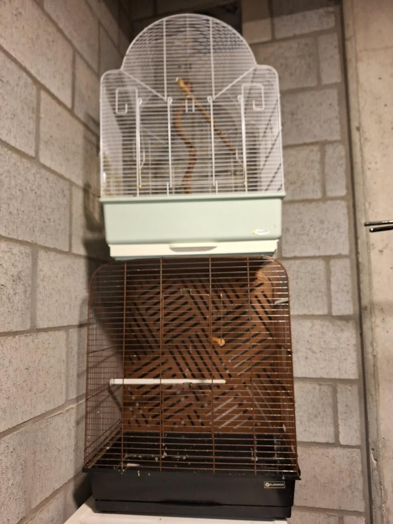 Te. Koop, Enlèvement, Utilisé, Métal, Cage à oiseaux