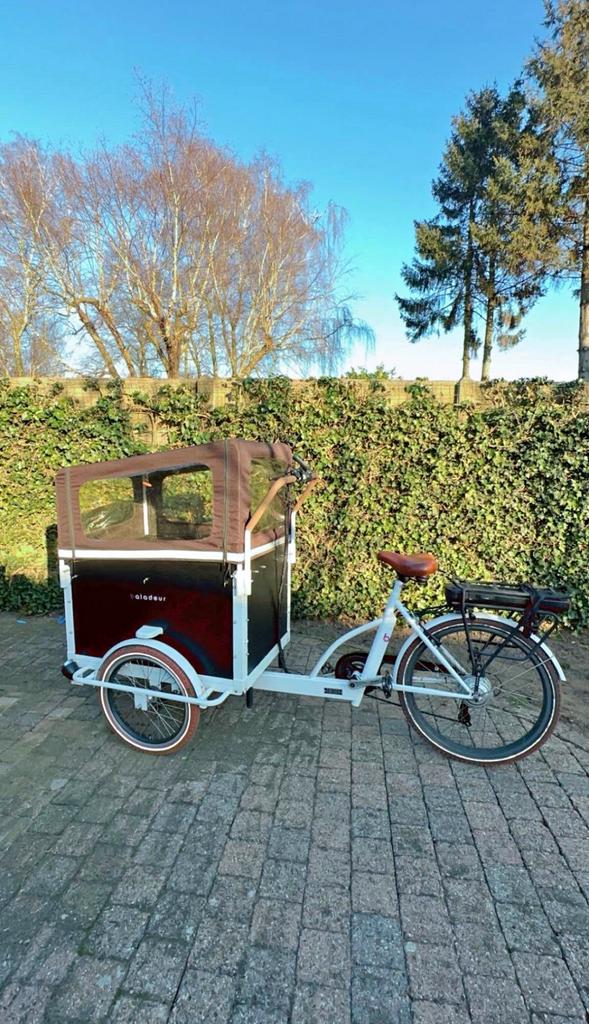 Elektrisch bakfiets Baladeur, Vélos & Vélomoteurs, Vélos | Vélos avec bac, Comme neuf, Électrique, Enlèvement ou Envoi