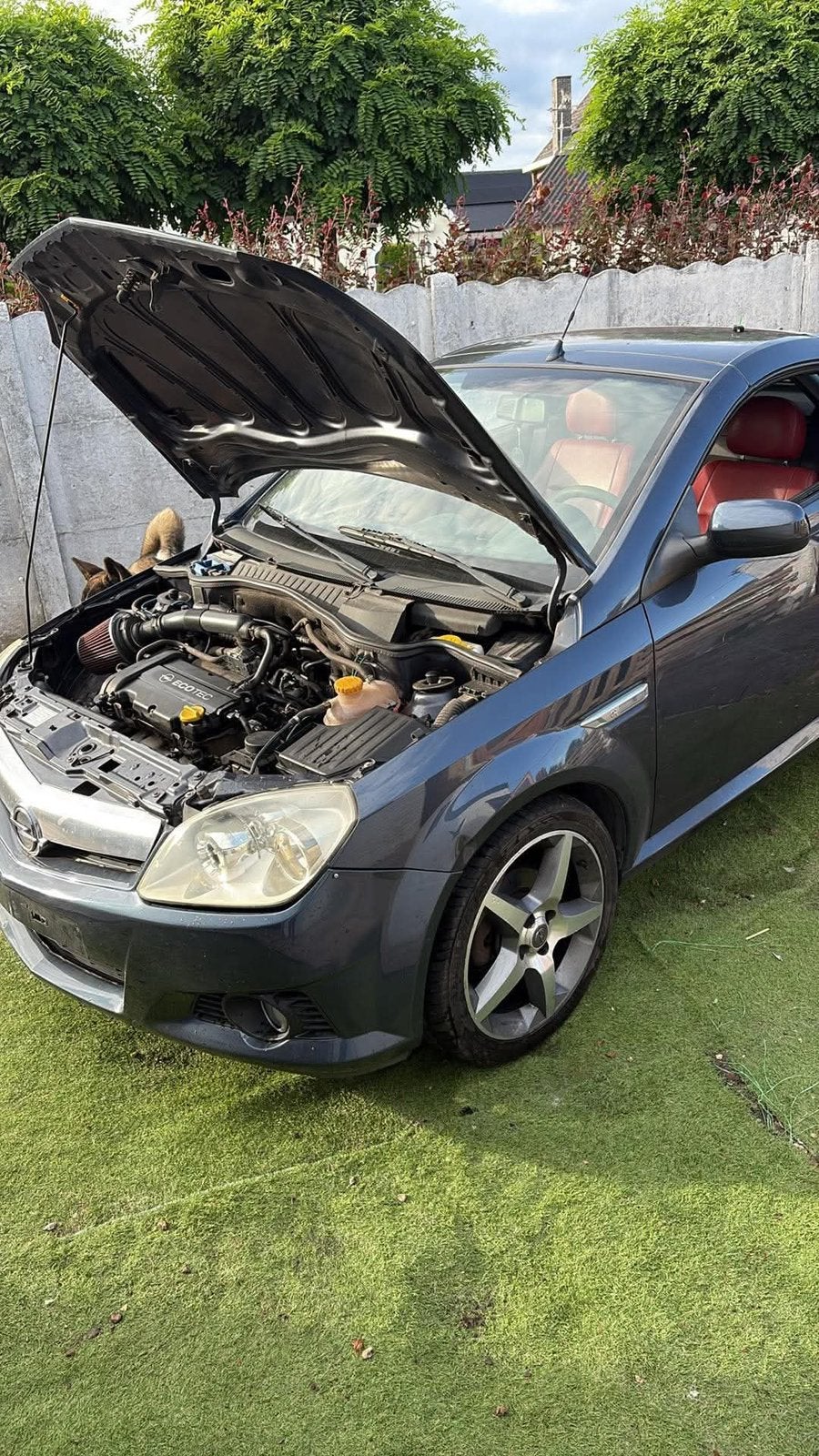 Te koop opel tigra twintop moet weg 600 euro, Ophalen of Verzenden, Opel
