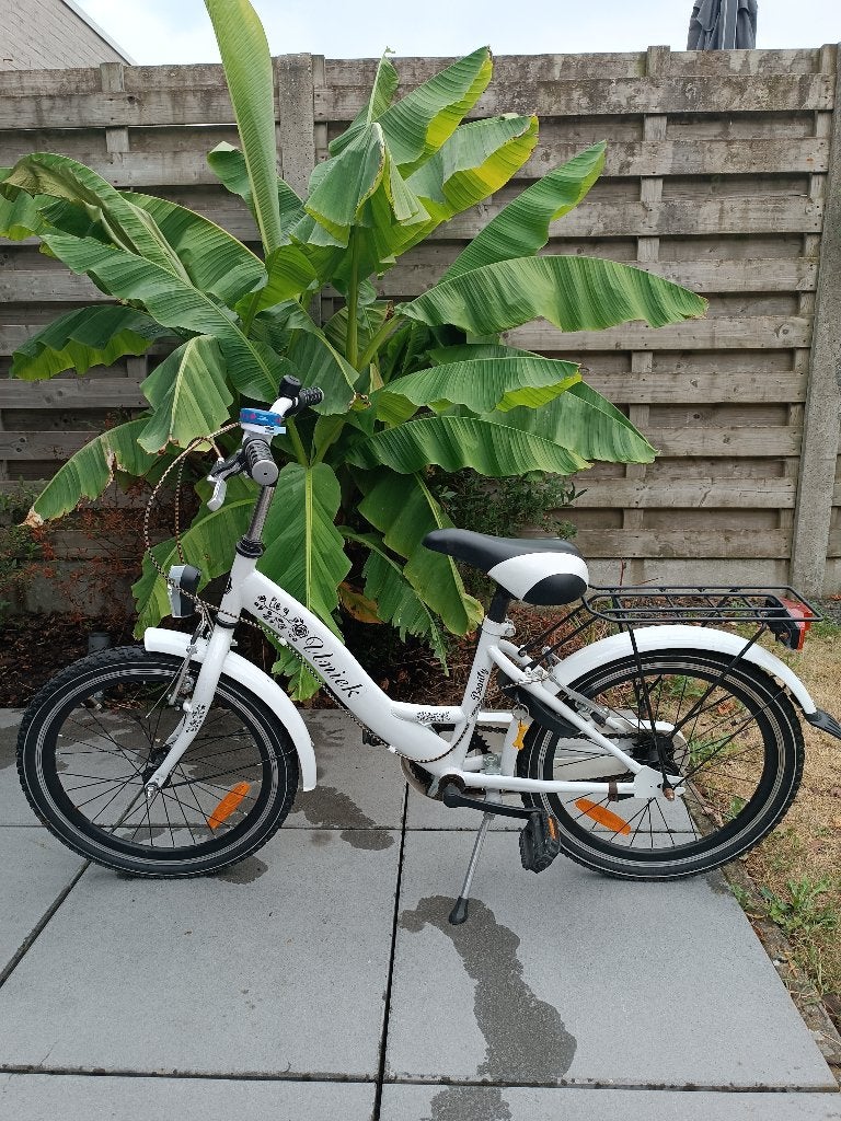 Kinderfiets 20 inch, Fietsen en Brommers, Ophalen