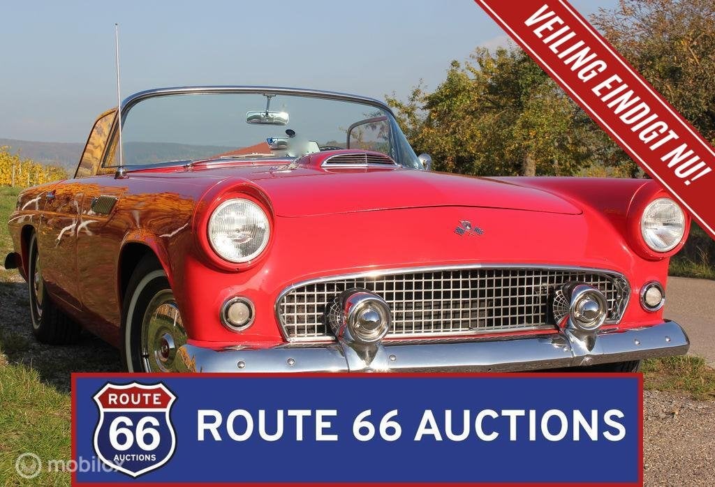 Ford Thunderbird | 1955 | Route 66 Auctions, Autos, Achat, Entreprise, Boîte manuelle, Autre carrosserie