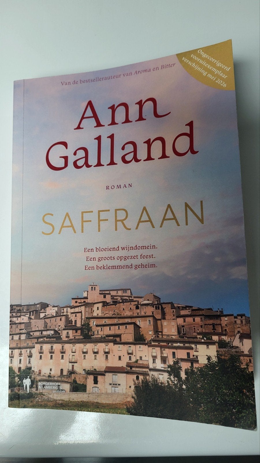 Saffraan Ann Galland, Boeken, Historische romans, Ophalen of Verzenden, Nieuw, Ann galland