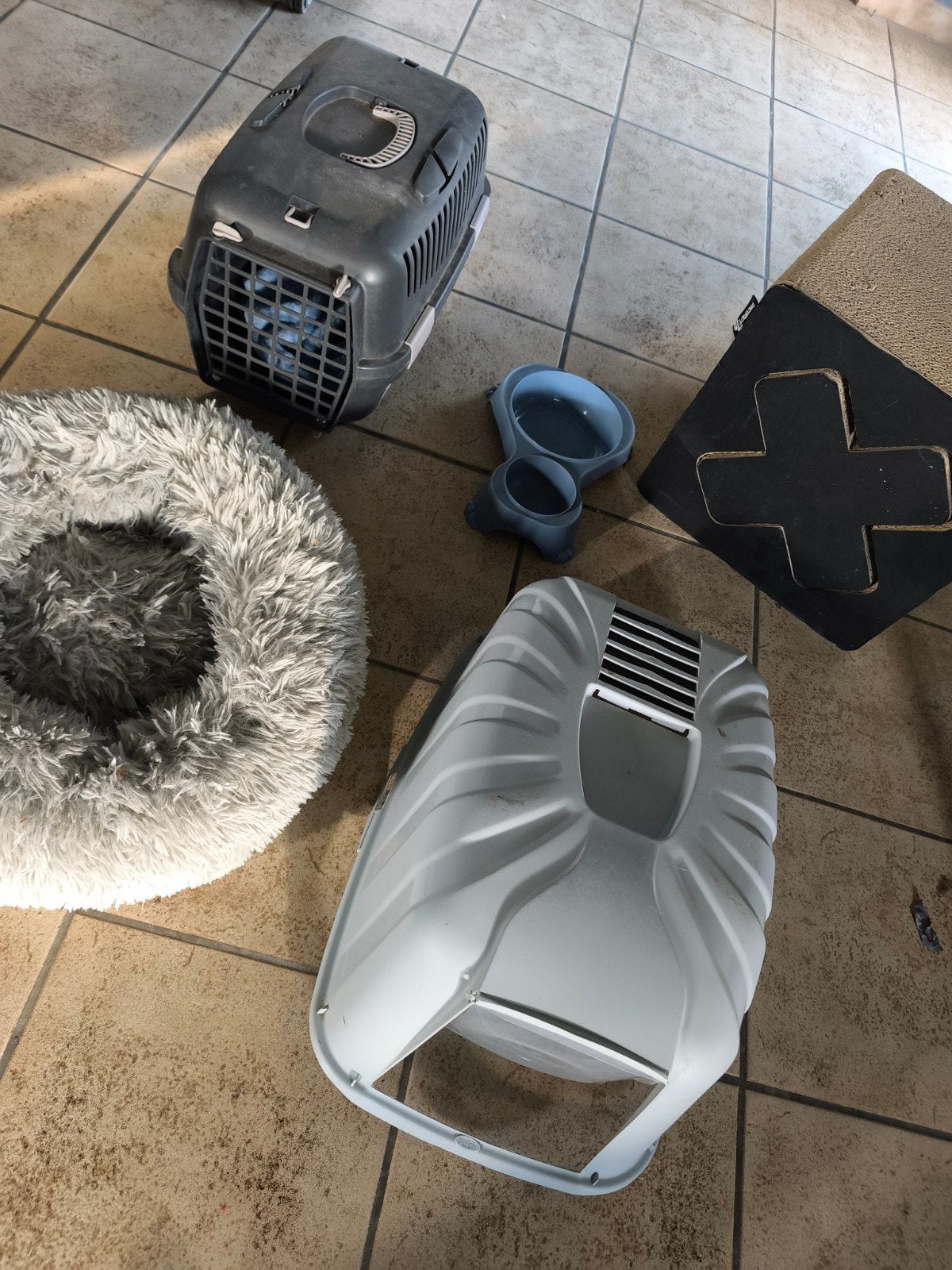 kattenspullen, Dieren en Toebehoren, Ophalen