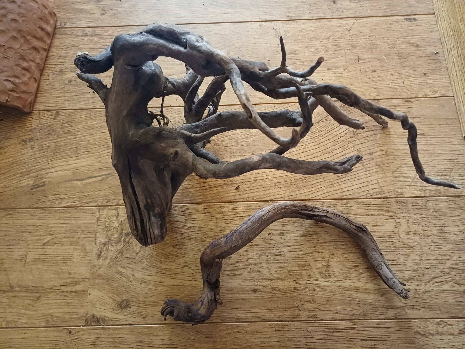 Spiderwood, Dieren en Toebehoren, Vissen | Aquaria en Toebehoren, Ophalen of Verzenden, Gebruikt, Plant(en), Steen of Hout
