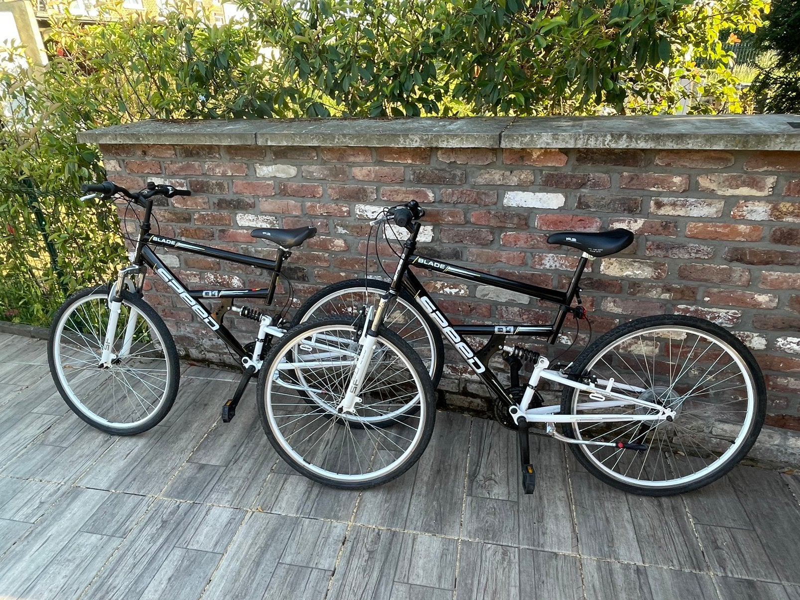 2 velos Blade adultes, Vélos & Vélomoteurs, Vélos | Vélos pliables, Utilisé, Vitesses, Enlèvement