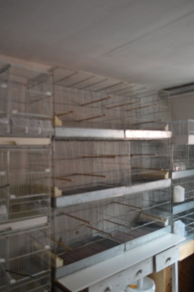 cages oiseaux, Animaux & Accessoires, Enlèvement, Utilisé, Métal, Cage d'élevage