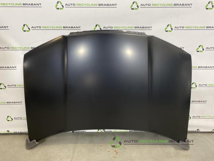 Capot d'un Skoda Fabia, -, 3 mois de garantie, Utilisé, -