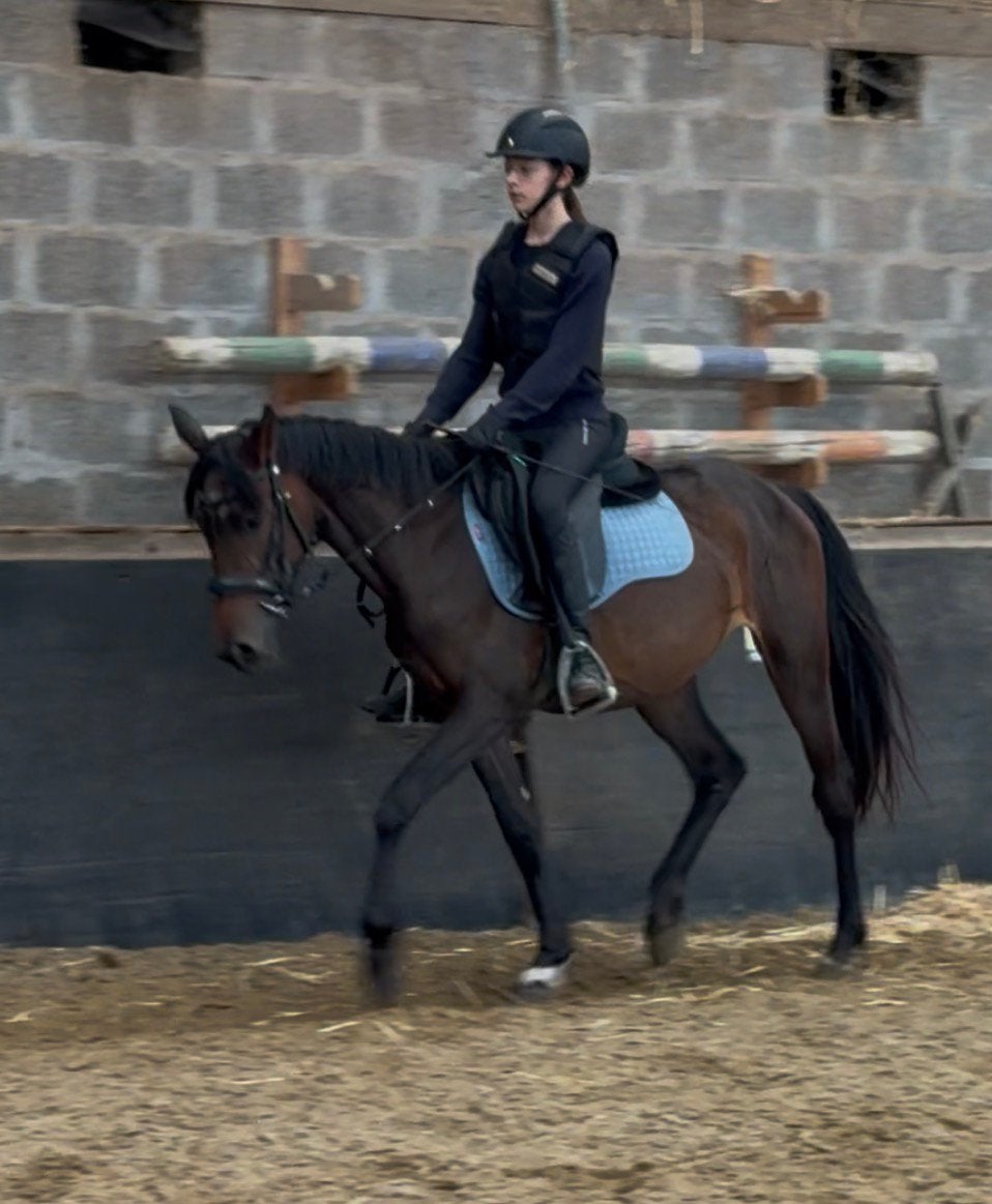 2 brave D pony’s, Dieren en Toebehoren, Pony's