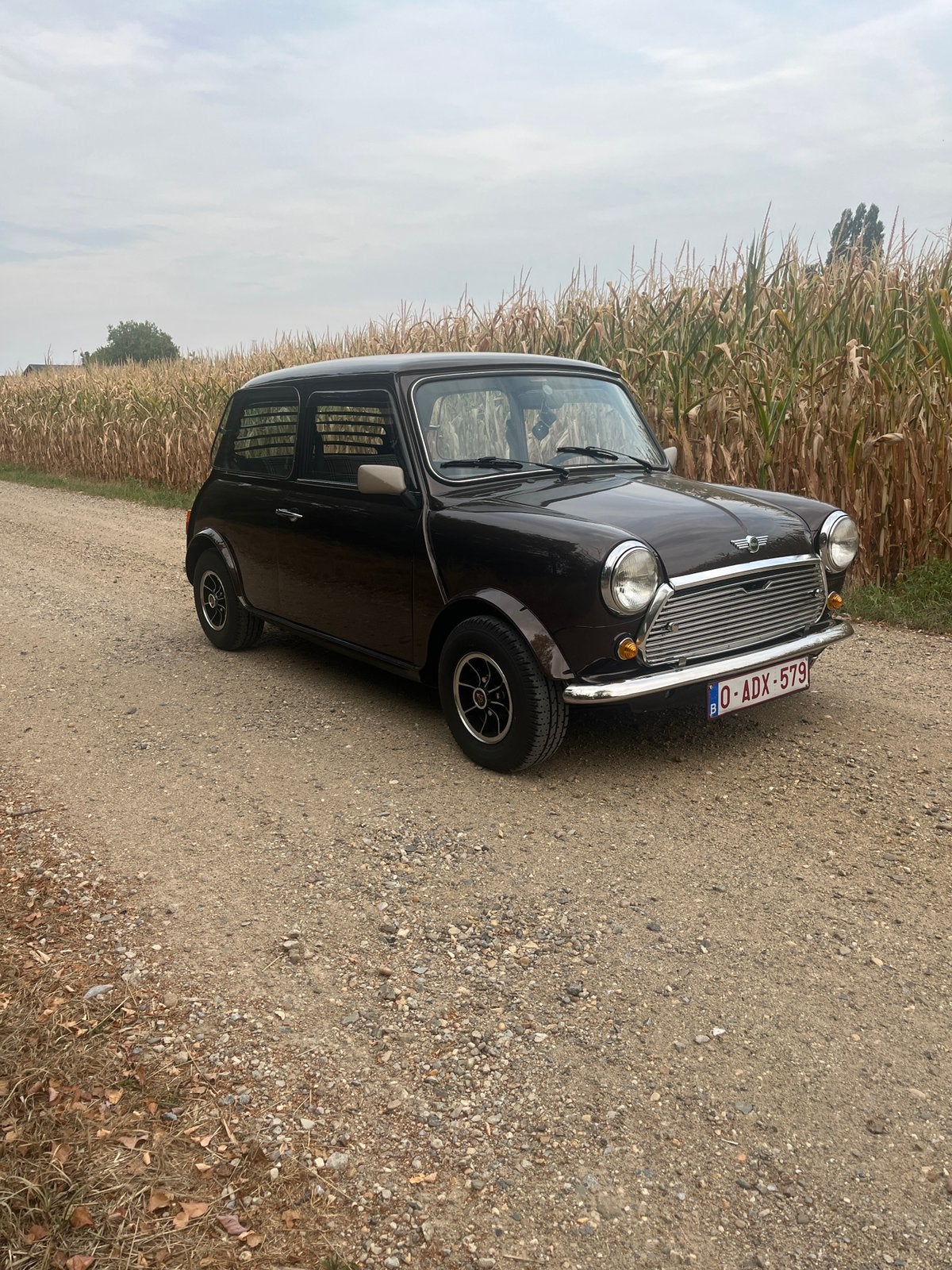 Austin mini 1983 (aangepaste prijs), Auto's, Bruin, Bruin, Diesel, Particulier