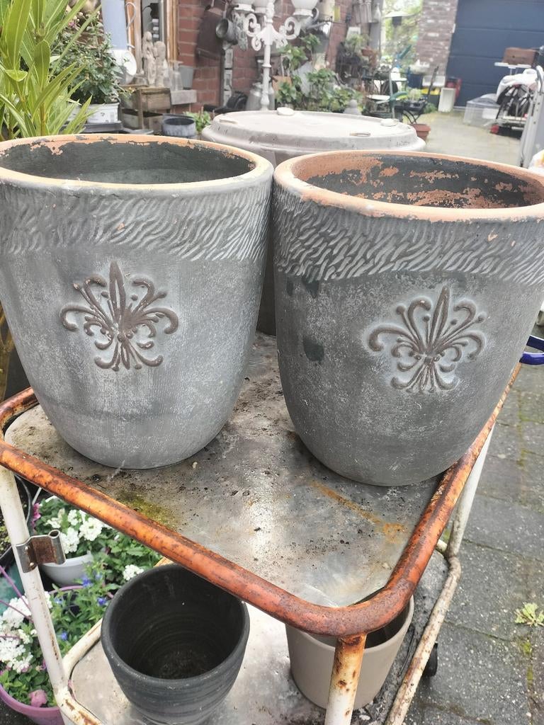 Grote hoge terracotta potten met Franse lelie, Ophalen, Kunststof